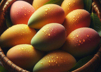 mango benefits