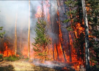 Uttarakhand Forest fire