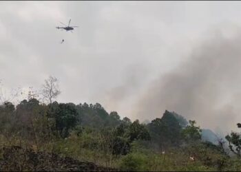 Uttarakhand Forest fire