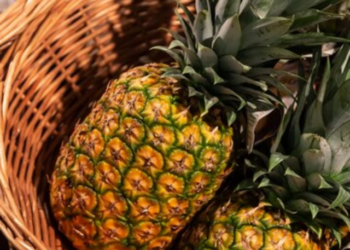 pineapple cutting tips