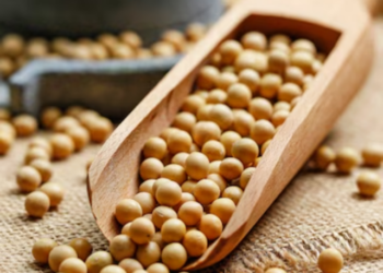 Soaked Soybean Benefits