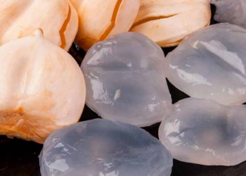 Ice Apple Benefits