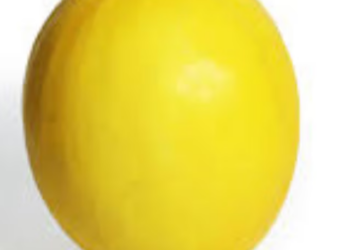 sun melon benefits