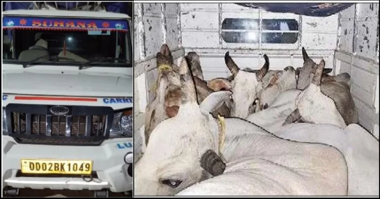 Odisha cow smuggling case