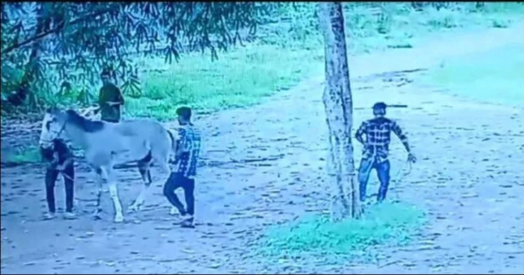 Female horse Brutally beaten in kerala