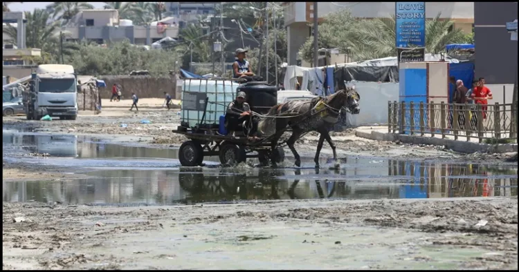 polio virus found in gaza