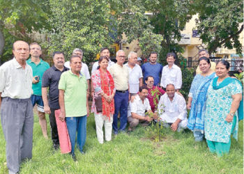 वृक्षारोपण करते कार्यकर्ता