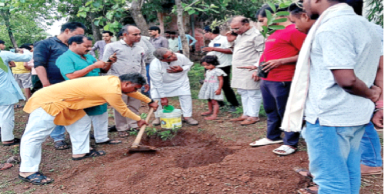 पौधारोपण करते कार्यकर्ता