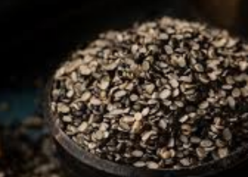 urad dal benefits