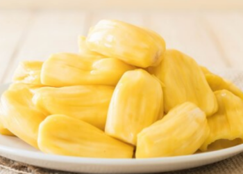 jackfruit seeds benefits