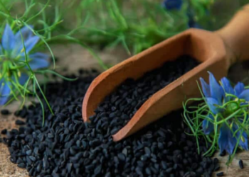 kalonji benefits