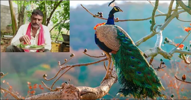 Telangana You Tuber makes Peacock curry