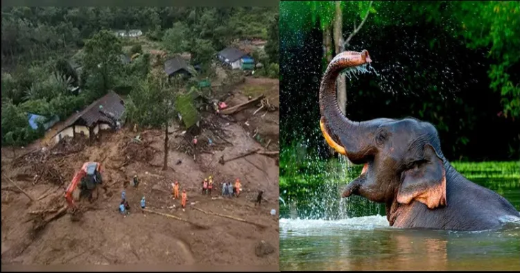 Waynad Landslide elephant helps Family