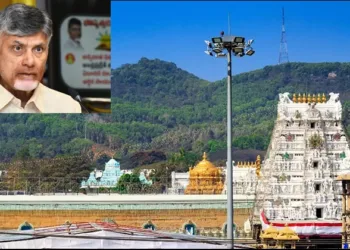 Chandrababu Naidu on tirumala temple prasadam animal fat