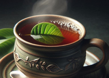 guava leaf tea