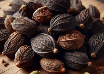 black cardamom benefits