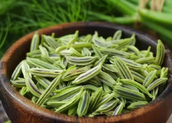 fennel seeds benefits