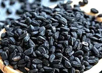 Kalonji seeds benefits