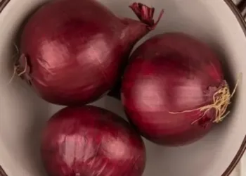 onion benefits