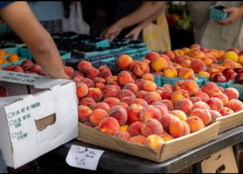 Maharashtra Muslim fruit seller sell out Urine