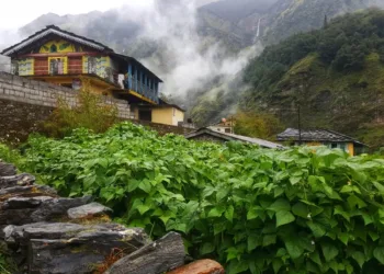 उत्तराखंड के 4 गांवों को मिलेगा सर्वश्रेष्ठ ग्राम पुरस्कार