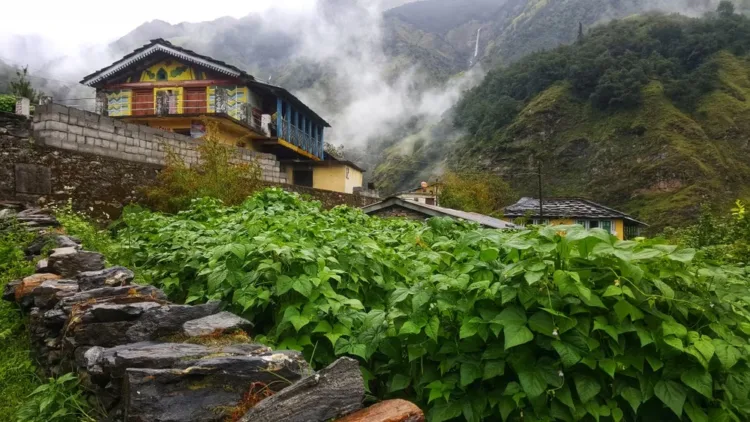 उत्तराखंड के 4 गांवों को मिलेगा सर्वश्रेष्ठ ग्राम पुरस्कार