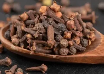 cloves benefits