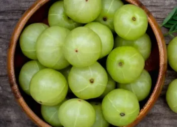 Amla Benefits