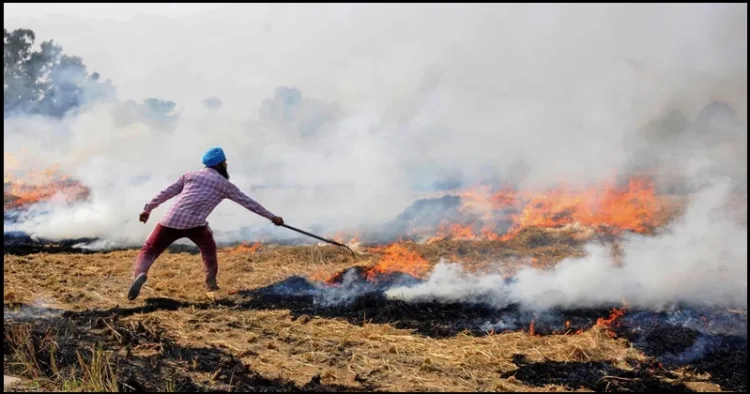 Punjab Parali Air Quality