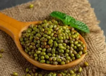 Moong Dal benefits