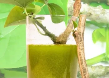 Giloy Juice benefits