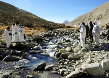 प्रतीकात्मक चित्र