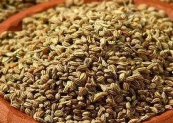 Ajwain water benefits