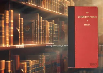 indian constitution democracy lessons