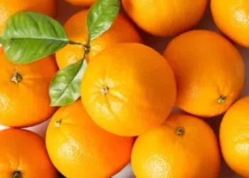 orange benefits