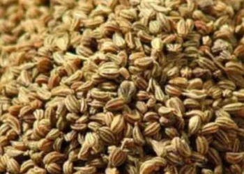 roasted ajwain benefits