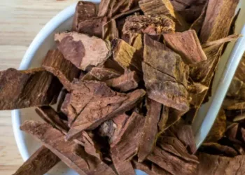 Arjuna bark benefits