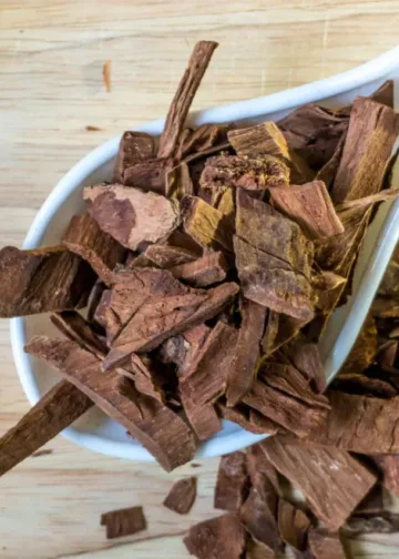 Arjuna bark benefits