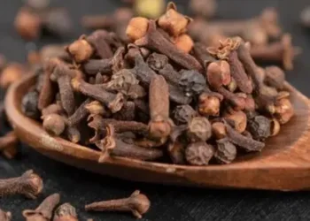 cloves benefits