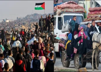 Gazans returning to North gaza