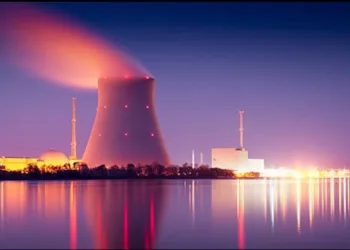 Government Issued Private player in Nuclear energy sector