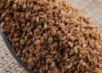 Roasted Ajwain benefits