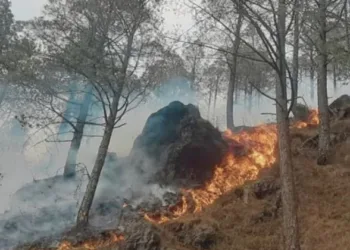 प्रतीकात्मक तस्वीर