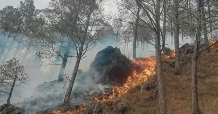 प्रतीकात्मक तस्वीर