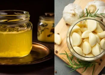 roasted garlic in Desi Ghee