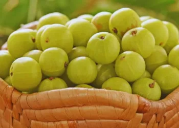 Amla Benefits