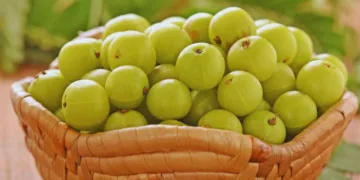 Amla Benefits