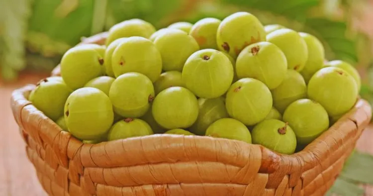 Amla Benefits