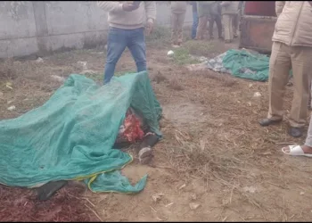 Uttarakhand cow slaughter