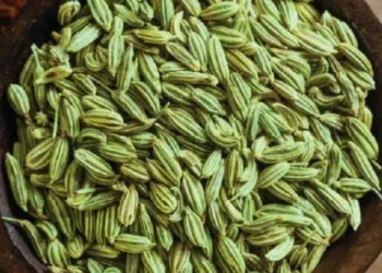 fennel seeds benefits